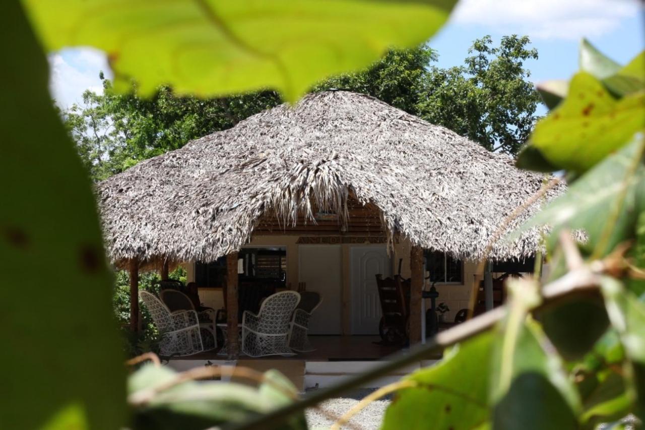 Hotel Anedi Concepcion de La Vega Εξωτερικό φωτογραφία